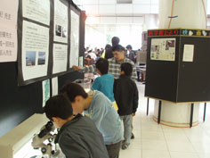展示